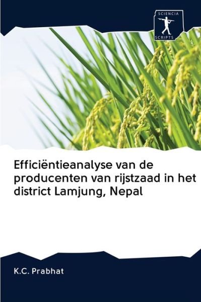Cover for Prabhat · Efficiëntieanalyse van de produ (Bog) (2020)