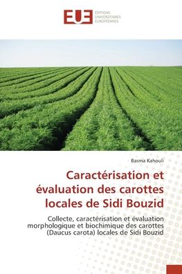 Cover for Kahouli · Caractérisation et évaluation d (Buch) (2020)