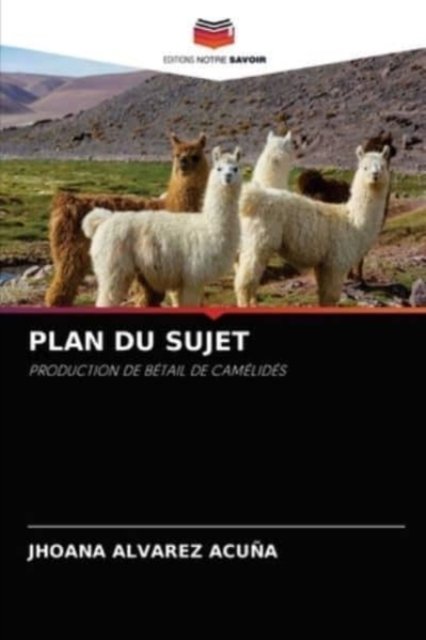 Cover for Jhoana Alvarez Acuna · Plan Du Sujet (Pocketbok) (2021)