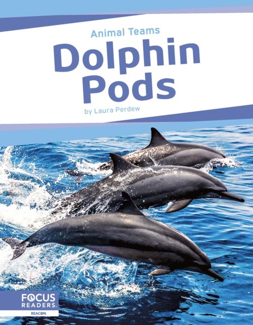 Cover for Laura Perdew · Dolphin Pods - Animal Teams (Paperback Book) (2024)