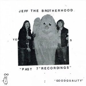 Cover for JEFF the Brotherhood · Past 7&quot; Recordings Box Set (LP) [Limited edition] (2013)