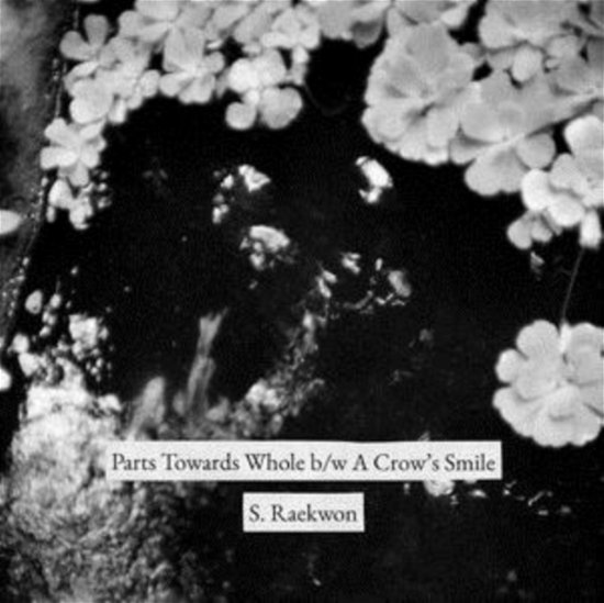 Cover for S. Raekwon · Part Towards Whole / A Crows Smile (LP) (2020)