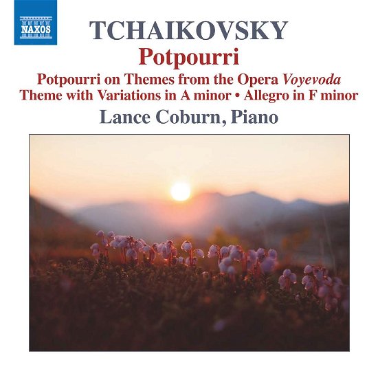 Tchaikovsky: Potpourri - Lance Coburn - Musikk - NAXOS - 0747313384471 - 15. juni 2018