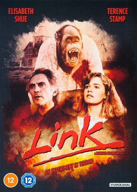 Cover for Link (DVD) (2021)