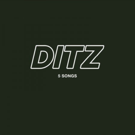 Cover for Ditz · 5 Songs (LP) (2020)