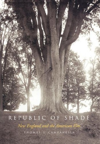 Thomas J. Campanella · Republic of Shade: New England and the American Elm (Paperback Book) (2011)