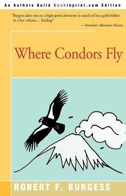 Cover for Robert F Burgess · Where Condors Fly (Paperback Bog) (2000)