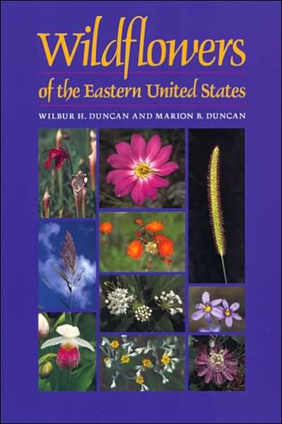 Cover for Wilbur H. Duncan · Wildflowers of the Eastern United States (Paperback Book) [New edition] (2005)