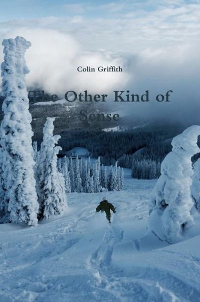 Cover for Colin Griffith · The Other Kind of Sense (Paperback Book) (2016)