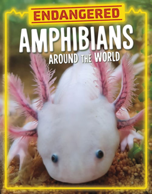 Cover for Lisa J. Amstutz · Endangered Amphibians Around the World - Endangered Animals Around the World (Hardcover Book) (2025)