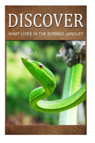 Cover for Discover Press · What Lives in the Borneo Jungle? - Discover: Early Reader's Wildlife Photography Book (Paperback Book) (2014)