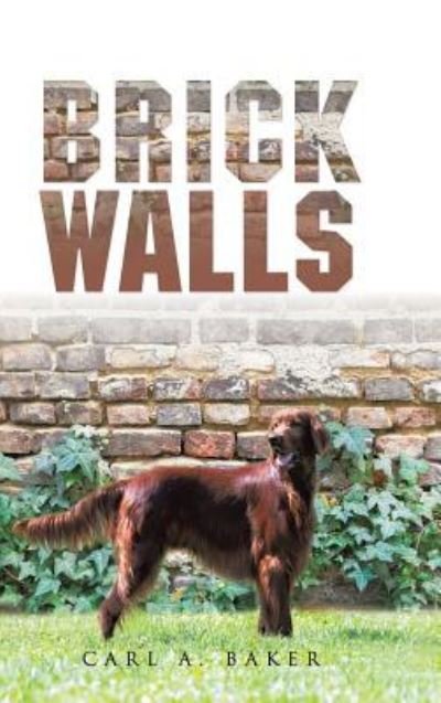 Brick Walls - Carl A Baker - Livres - AuthorHouse - 9781504967471 - 12 décembre 2015