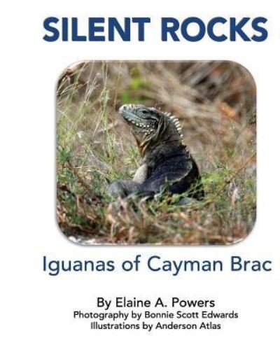 Cover for Elaine a Powers · Silent Rocks (Paperback Book) (2016)