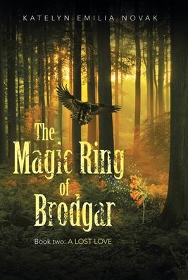 Cover for Katelyn Emilia Novak · The Magic Ring of Brodgar (Hardcover Book) (2021)