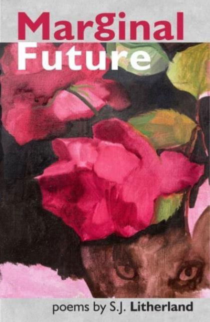 Cover for S.J. Litherland · Marginal Future (Paperback Book) (2024)