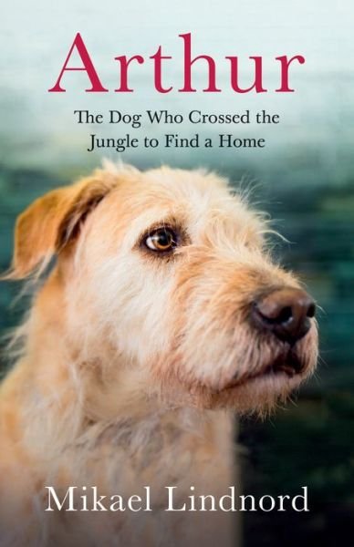 Cover for Mikael Lindnord · Arthur The Dog who Crossed the Jungle to Find a Home (Paperback Book) (2018)