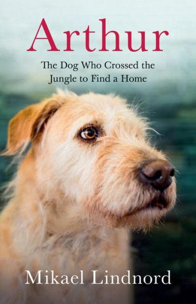 Cover for Mikael Lindnord · Arthur The Dog who Crossed the Jungle to Find a Home (Pocketbok) (2018)