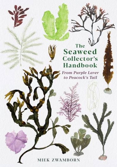 Cover for Miek Zwamborn · The Seaweed Collector's Handbook: From Purple Laver to Peacock’s Tail (Paperback Book) [Main edition] (2021)