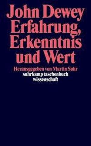 Cover for John Dewey · Suhrk.TB.Wi.1647 Dewey.Erfahrung,Erkenn (Bok)
