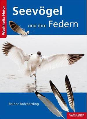 Cover for Rainer Borcherding · Seevögel und ihre Federn (Paperback Book) (2015)