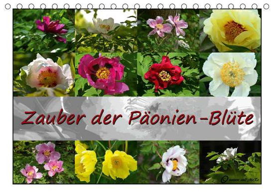 Cover for Reiter · Zauber der Päonien-Blüte (Tischk (Book)