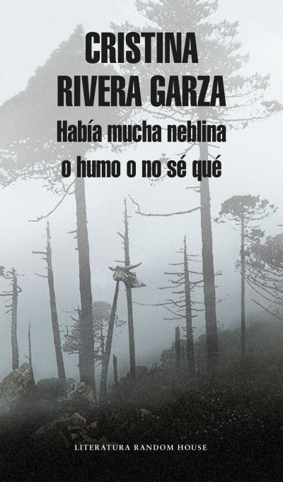 Cover for Cristina Rivera Garza · Había mucha neblina o humo o no sé qué (Book) [Primera edición. edition] (2017)