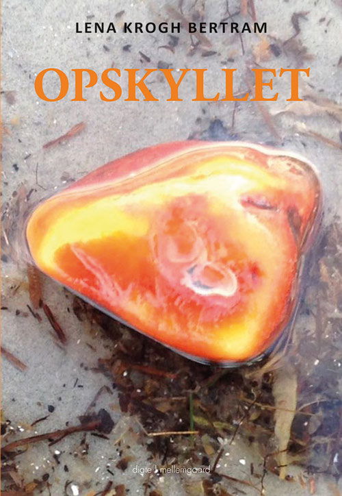 Cover for Lena Krogh Bertram · Opskyllet (Book) [1º edição] (2018)