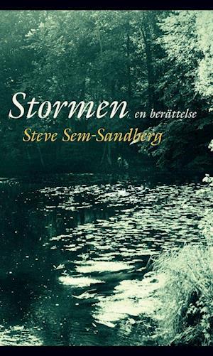 Cover for Steve Sem-Sandberg · Stormen : en berättelse (Paperback Book) (2017)