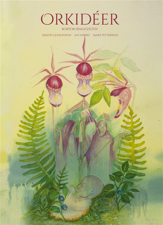 Cover for Simeon Gudjonsson · Orkidéer - bortom rimligheten (Bound Book) (2023)