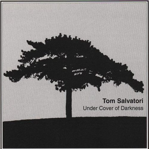 Under Cover of Darkness - Tom Salvatori - Musiikki - CD Baby - 0634479213472 - keskiviikko 13. kesäkuuta 2001