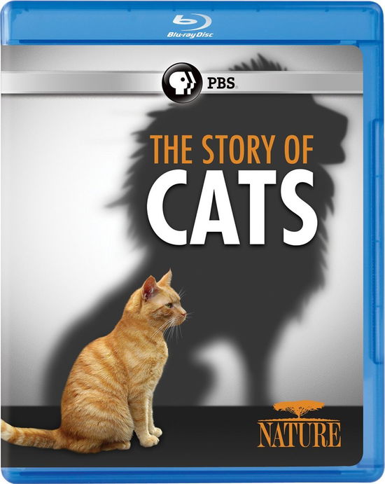 Cover for Nature: the Story of Cats (Blu-ray) (2016)