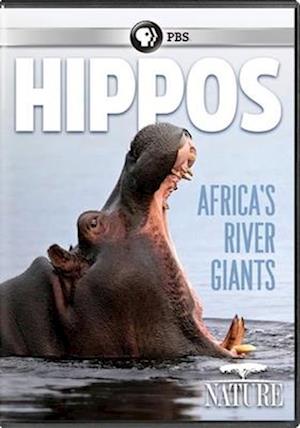 Nature: Hippos - Africa's River Giants - Nature: Hippos - Africa's River Giants - Movies - ACP10 (IMPORT) - 0841887043472 - March 17, 2020