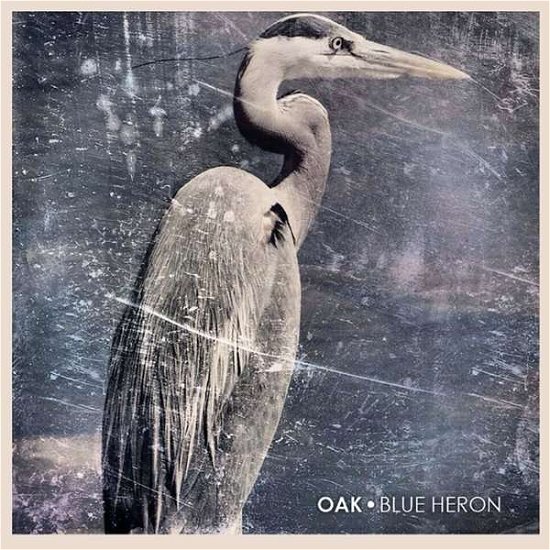 Cover for Oak · Blue Heron (CD) (2014)