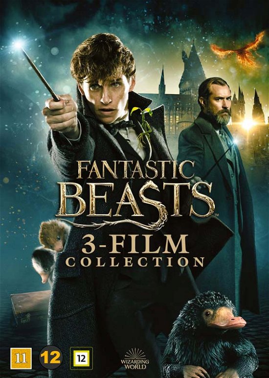Cover for Fantastic Beasts · Fantastic Beasts 3 Film Collection (DVD) (2023)