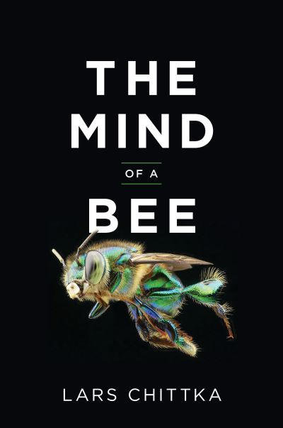 Cover for Lars Chittka · The Mind of a Bee (Hardcover Book) (2022)