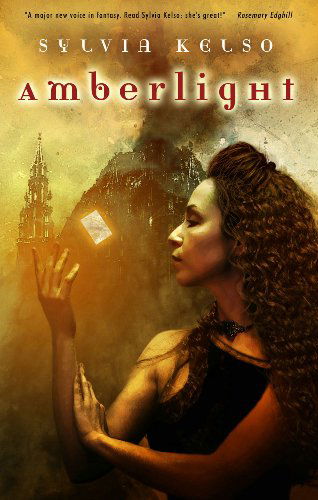 Cover for Sylvia Kelso · Amberlight (Paperback Book) (2008)