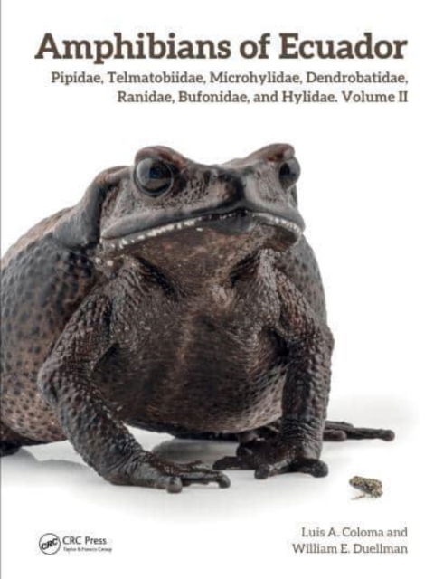 Cover for Luis A. Coloma · Amphibians of Ecuador: Pipidae, Telmatobiidae, Microhylidae, Dendrobatidae, Ranidae, Bufonidae, and Hylidae, Volume II (Hardcover Book) (2025)