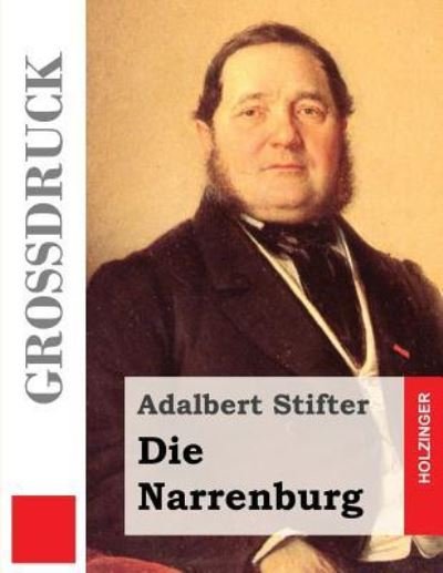 Cover for Adalbert Stifter · Die Narrenburg (Grossdruck) (Paperback Book) (2013)