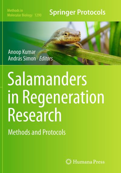 Cover for Salamanders in Regeneration Research: Methods and Protocols - Methods in Molecular Biology (Paperback Book) [Softcover reprint of the original 1st ed. 2015 edition] (2016)