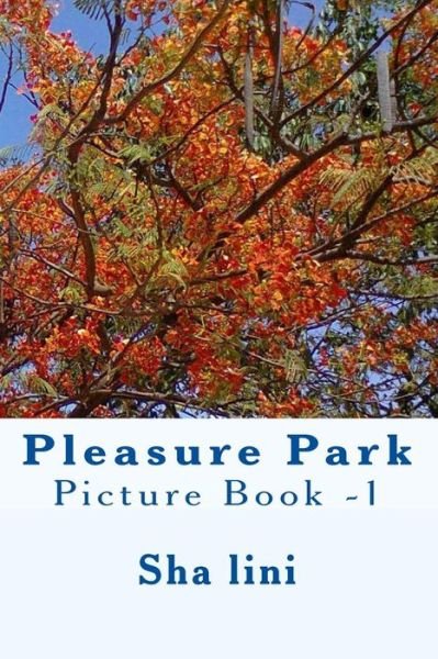 Cover for Sha Lini · Pleasure Park: Picture Book -1 (Pocketbok) (2014)