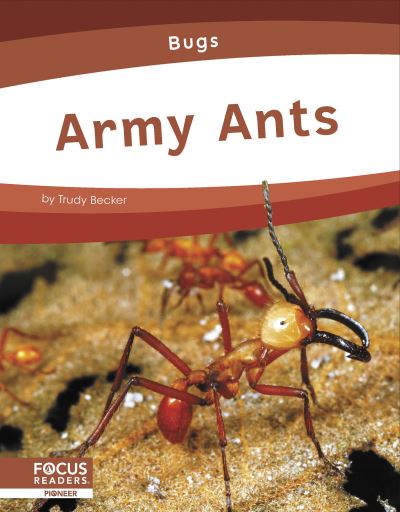 Army Ants - Trudy Becker - Books - North Star Editions - 9781637394472 - 2023