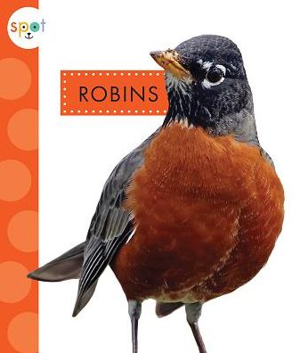 Cover for Mari C Schuh · Robins (Hardcover Book) (2019)