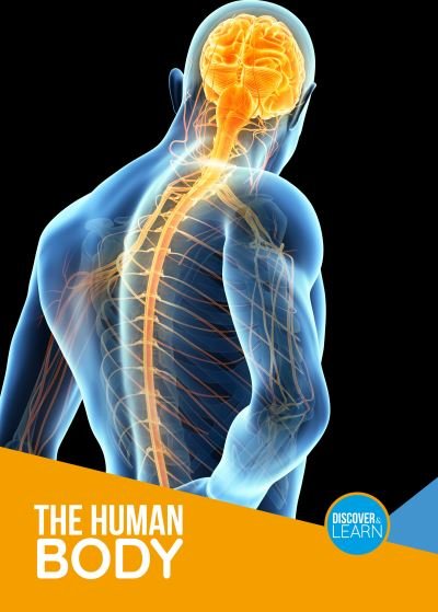 Cover for Joanna Brundle · The Human Body - Discover and Learn (Pocketbok) (2021)