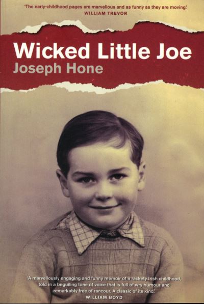 Cover for Joseph Hone · Wicked little Joe (Book) (2009)