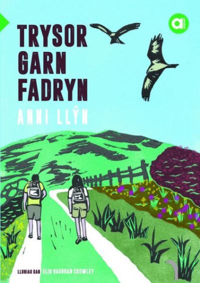 Cover for Anni Llyn · Cyfres Amdani: Trysor Garn Fadryn (Paperback Book) (2022)