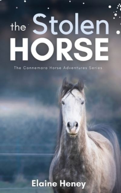 Cover for Elaine Heney · Stolen Horse - Book 4 in the Connemara Horse Adventure Series for Kids the Perfect Gift for Children (Book) (2023)