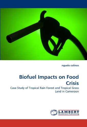 Cover for Nguelo Colince · Biofuel Impacts on Food Crisis: Case Study of Tropical Rain Forest and Tropical Grass Land in Cameroon (Paperback Book) (2010)