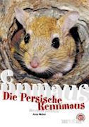 Cover for Anne Weber · Persische Rennmaus (Paperback Book) (2008)