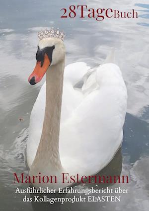 Cover for Marion Estermann · 28 Tage Buch (Pocketbok) (2022)