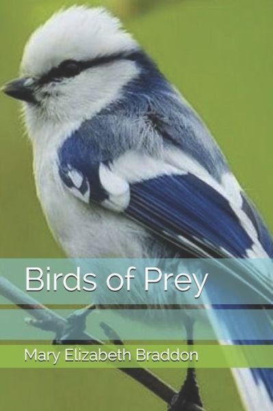 Cover for Mary Elizabeth Braddon · Birds of Prey (Paperback Book) (2020)
